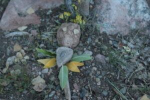 Read more about the article Rock Altar